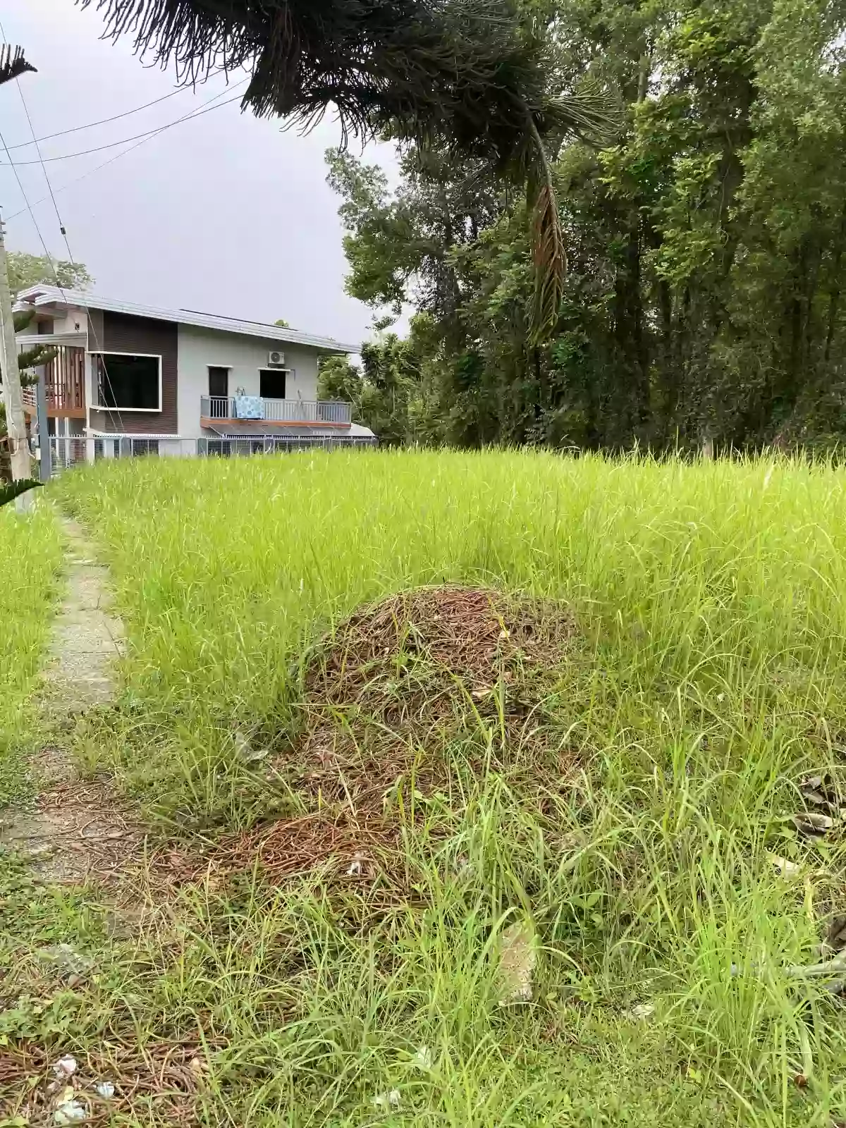 For Sale: Residential Lot 280 sqm at La Mirande Subdivision in Lumbia, Cagayan de Oro City — Residential Lot in Lumbia, Cagayan de Oro City, Misamis Oriental — Photo 6