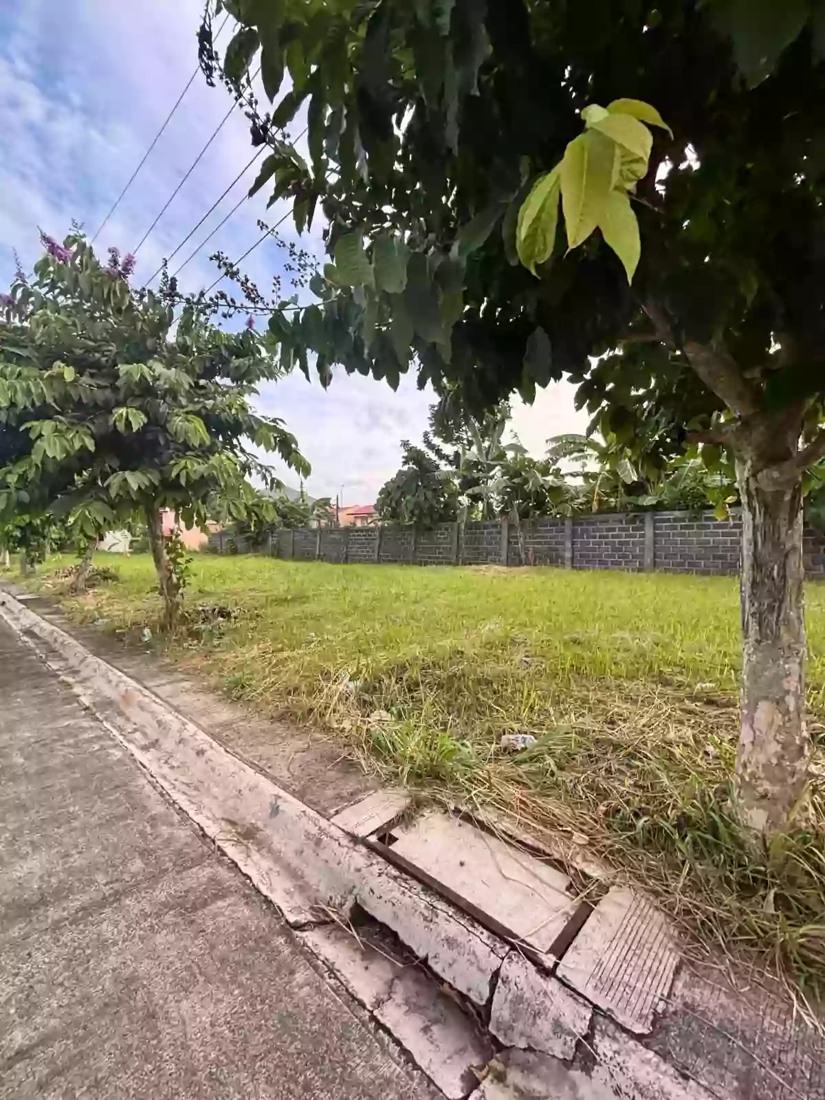 Camella Heights Residential Lot for Sale! — Residential Lot in Cararayan, Naga City, Camarines Sur — Photo 5