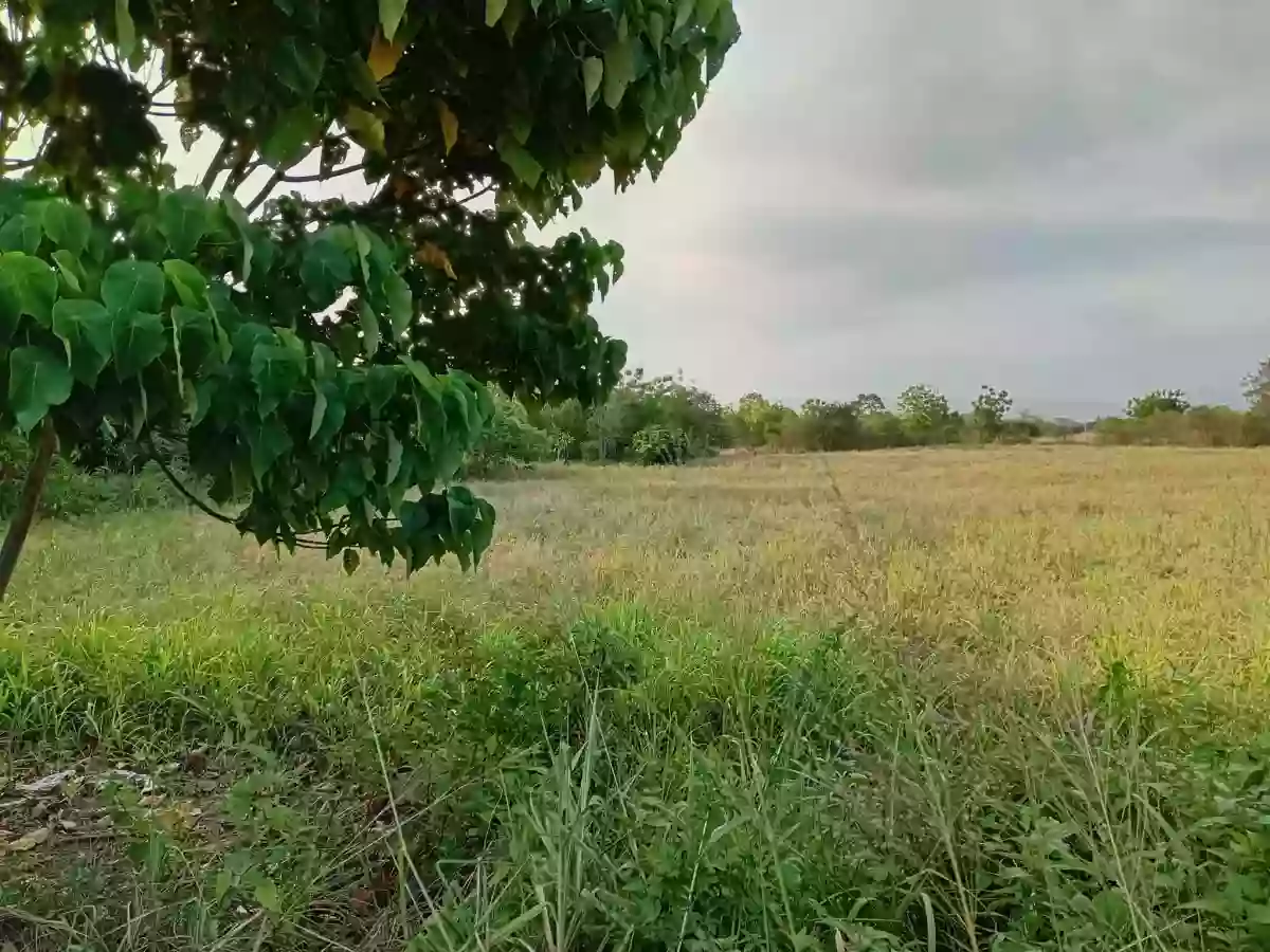 9 Hectares Lot for Sale Along Diversion Road, Barangay Mabuhay, General Santos City – Ideal for Development — Residential Lot in Gen. Santos City, South Cotabato, 9500 — Photo 4