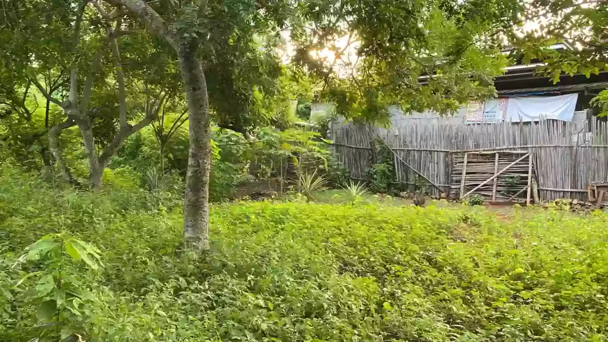 LOT ONLY  in Brgy. San Jose Puerto Princesa City Palawan — Residential Lot in Puerto Princesa City, Palawan, 5300 — Photo 6