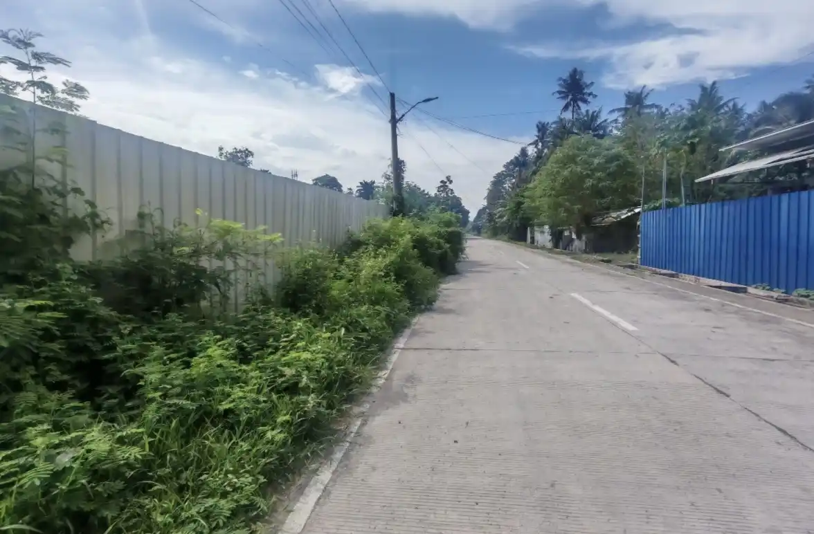 1000sq. Prime Lot near UST & Mc Dogensan