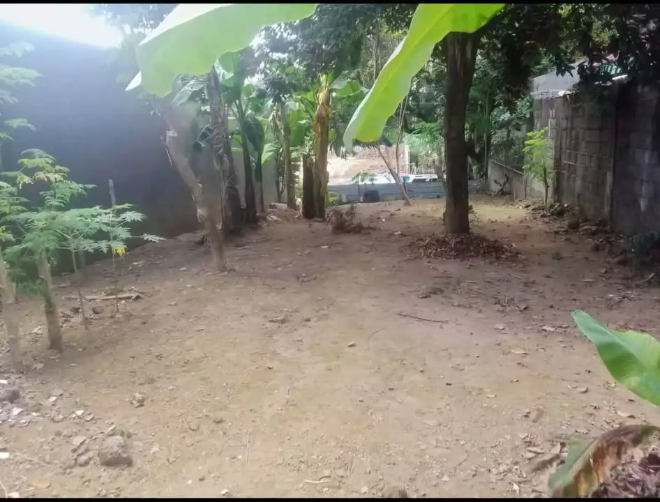 For Sale: Residential Lot in Pasong Tamo, Quezon City — 200 sqm — Residential Lot in Quezon City, Metro Manila, 1101 — Photo 4