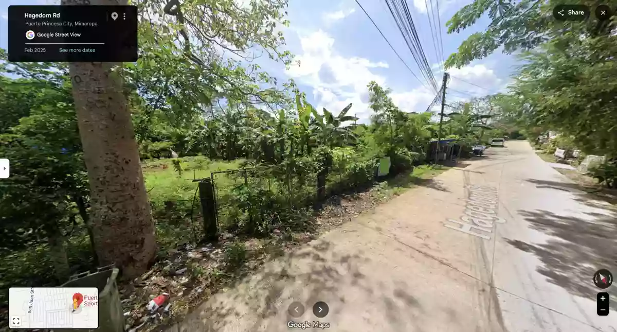 PRIME 2,000 SQM LOT FOR SALE in San Pedro, Puerto Princesa City, Palawan — Residential Lot in San Pedro, Puerto Princesa City, Palawan — Photo 2