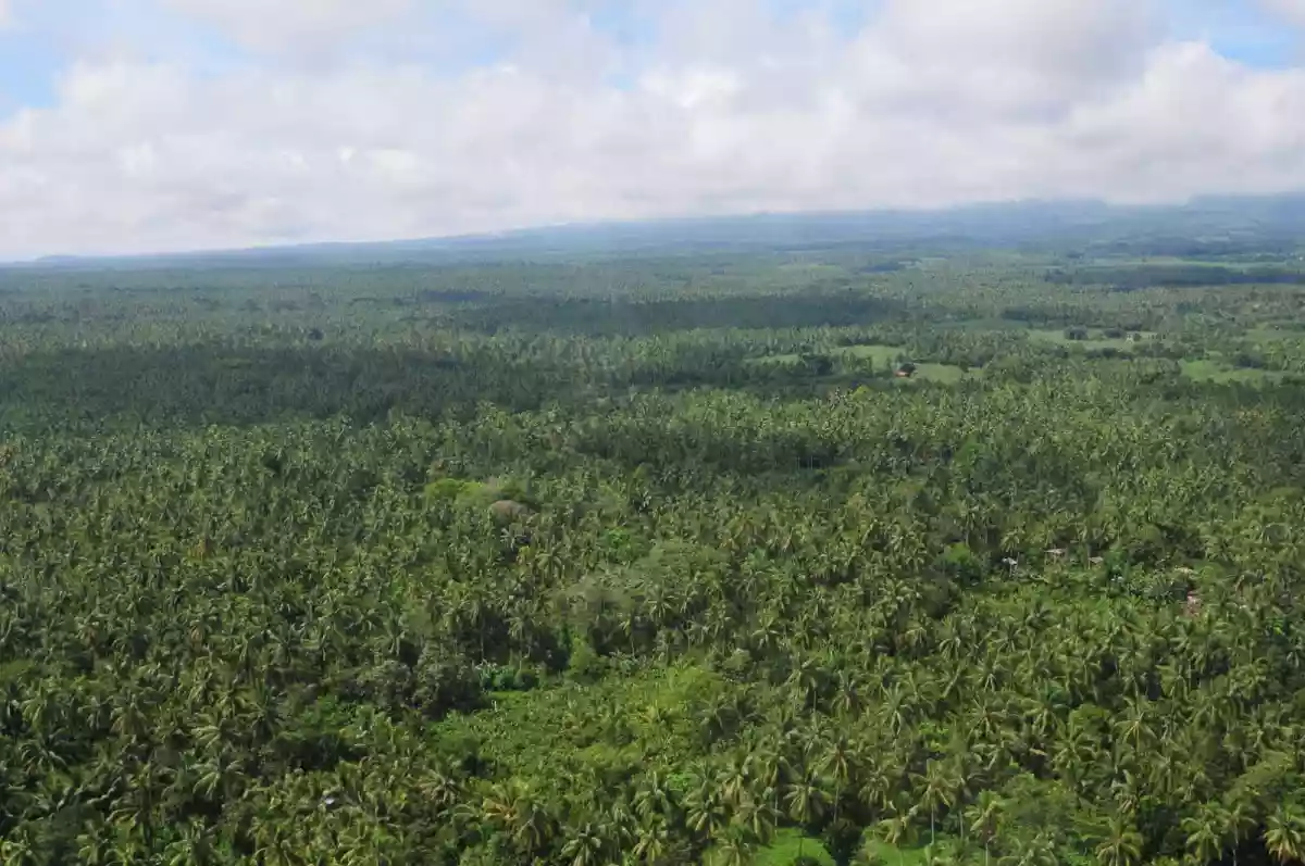 For Sale: 1-Hectare Agricultural Lot in Olympog, Gen. Santos City — Agricultural Lot in Olympog, Gen. Santos City, South Cotabato — Photo 3