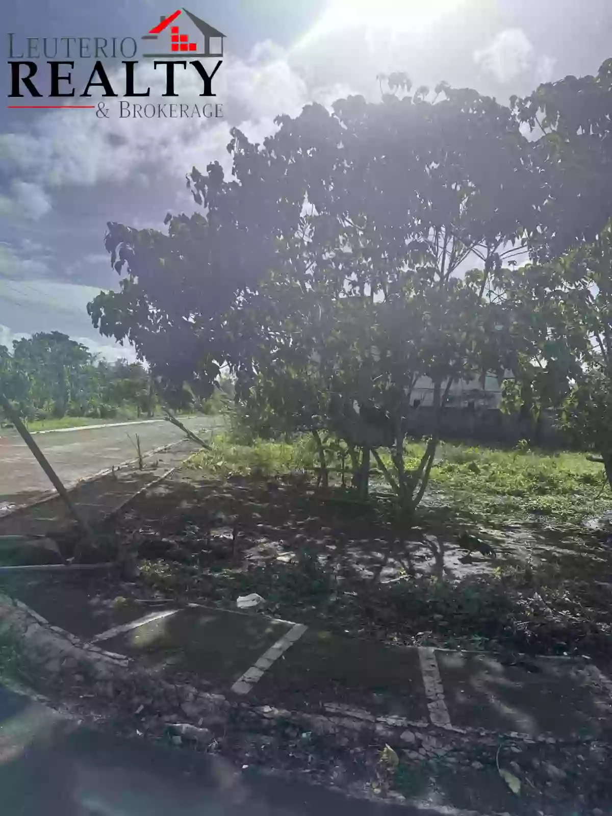 For Sale: Residential Lot in San Agustin, Pili — 217 sqm — Residential Lot in Pili, Camarines Sur, 4418 — Photo 4
