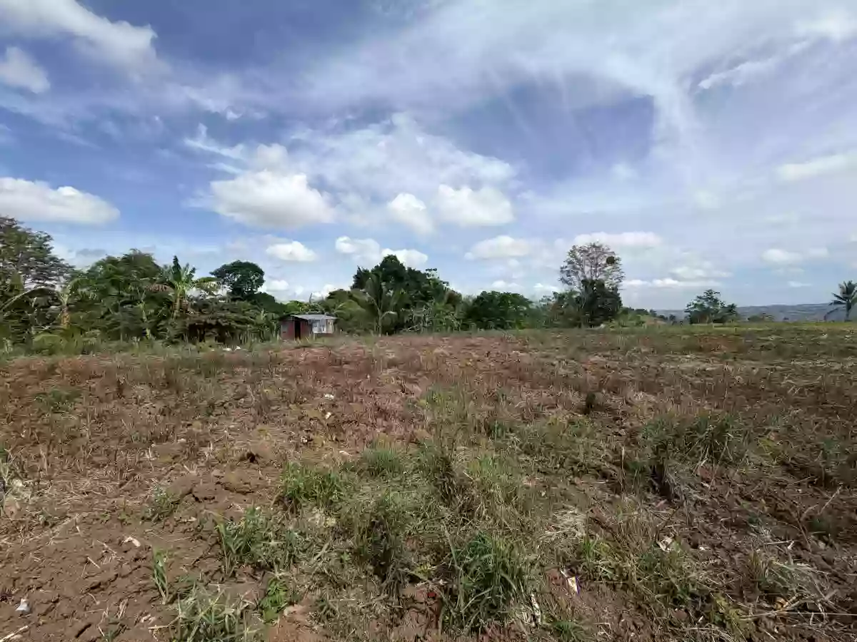 For Sale: Agricultural Lot in Liboran, Balungon, Bukidnon — 14000 sqm — Agricultural Lot in Balungon, Bukidnon, 8707 — Photo 2