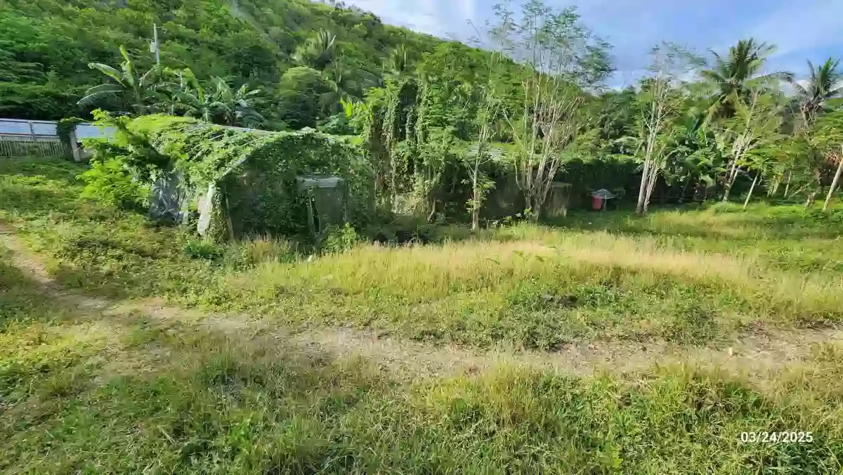 5.2hec Lot only in Danao City — Residential Lot in Danao City, Cebu, 6004 — Photo 3