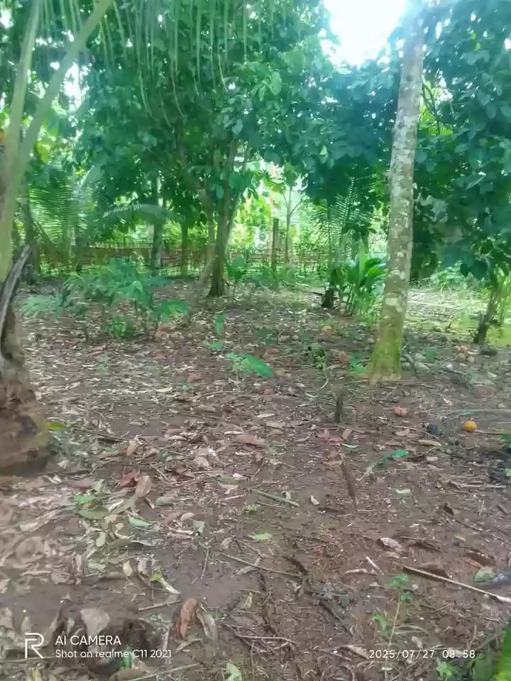 For Sale: Residential Lot in Pulong Bunga, Silang — 500 sqm — Residential Lot in Silang, Cavite, 4118 — Photo 4