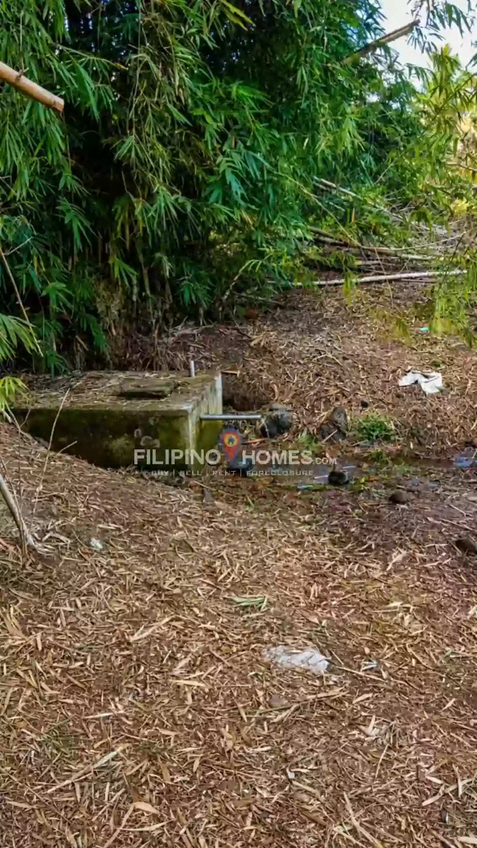 For Sale: Agricultural Lot Near North Cotabato Academy, Pigkawayan — 79556 sqm — Agricultural Lot in Pigkawayan, Cotabato, 9412 — Photo 5
