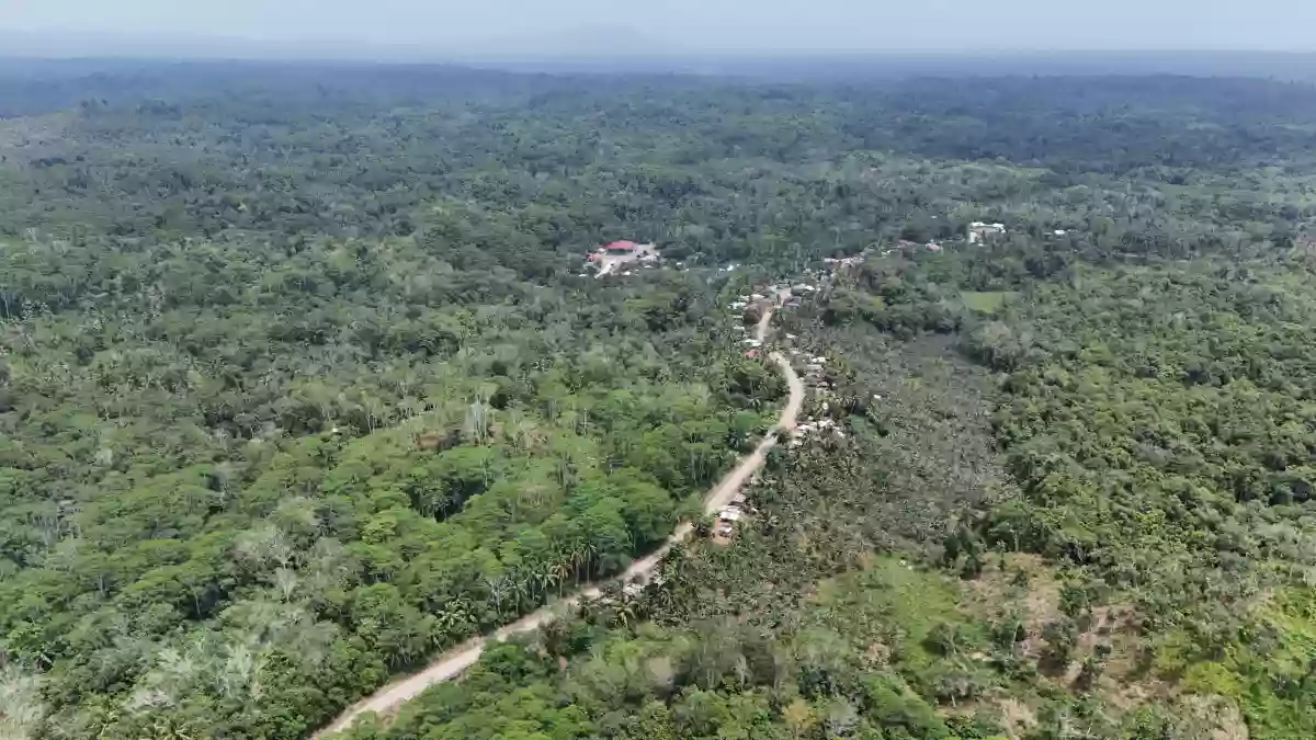 For Sale: Agricultural Lot in Katipunan, Bayugan City — 20172 sqm — Agricultural Lot in Bayugan City, Agusan del Sur, 8502 — Photo 5