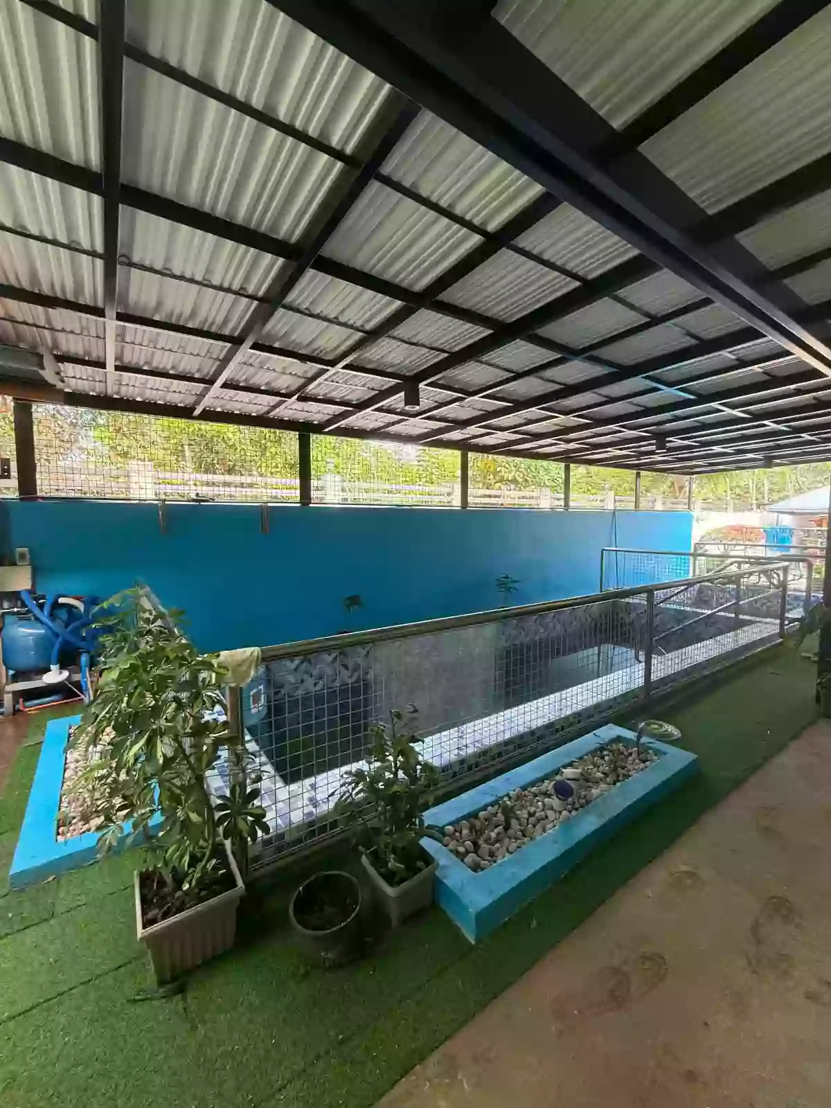 For Sale: 3BR House and Lot with Swimming Pool in Poblacion, Trento — House and Lot in Poblacion, Trento, Agusan del Sur — Photo 5