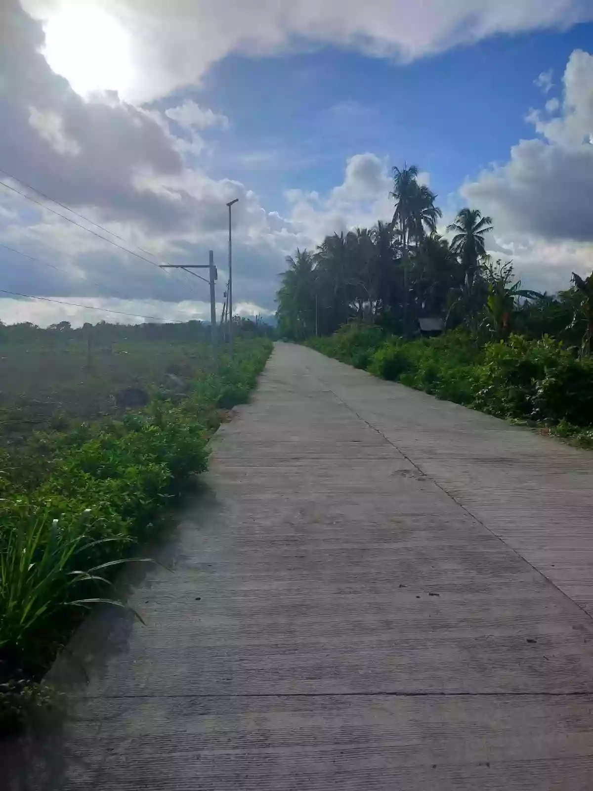 Dauin lot for sale — Agricultural Lot in Dauin, Negros Oriental, 6217 — Photo 2