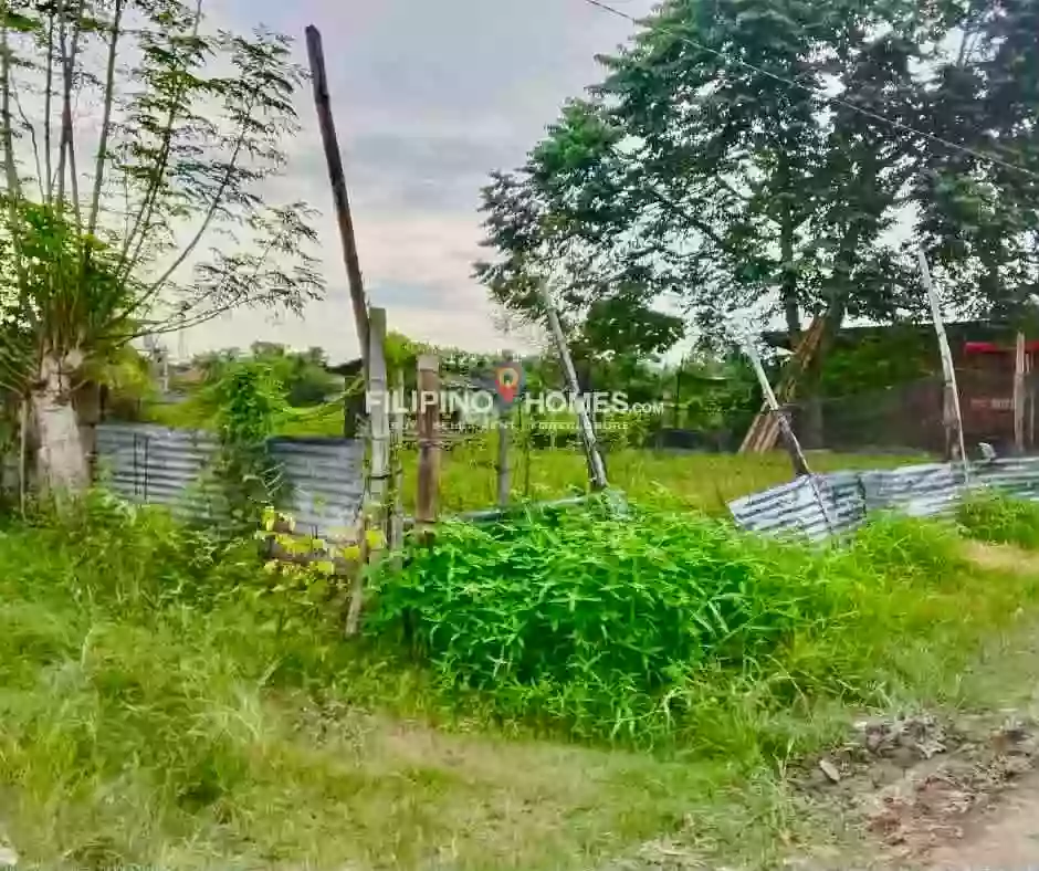 For Sale: Residential Lot in Poblacion 8, Midsayap — 334 sqm — Residential Lot in Midsayap, Cotabato, 9410 — Photo 5