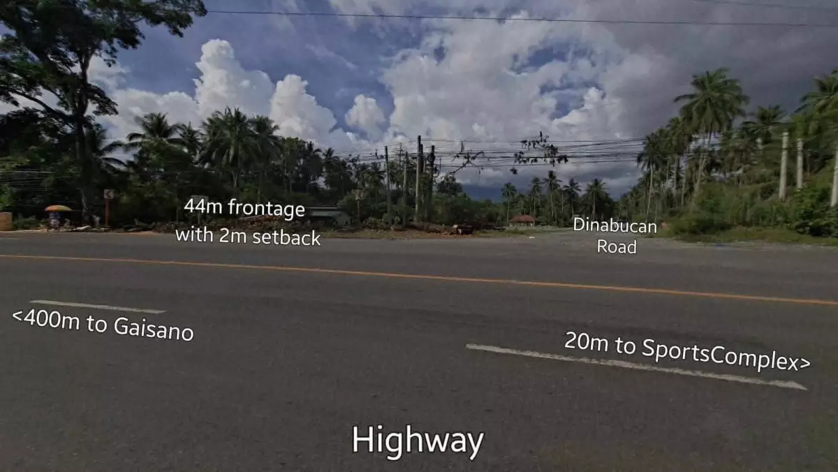 For Sale: 4246 sqm Commercial Lot in Mabini, Cabadbaran City — Commercial Lot in Mabini, Cabadbaran City, Agusan del Norte — Photo 3