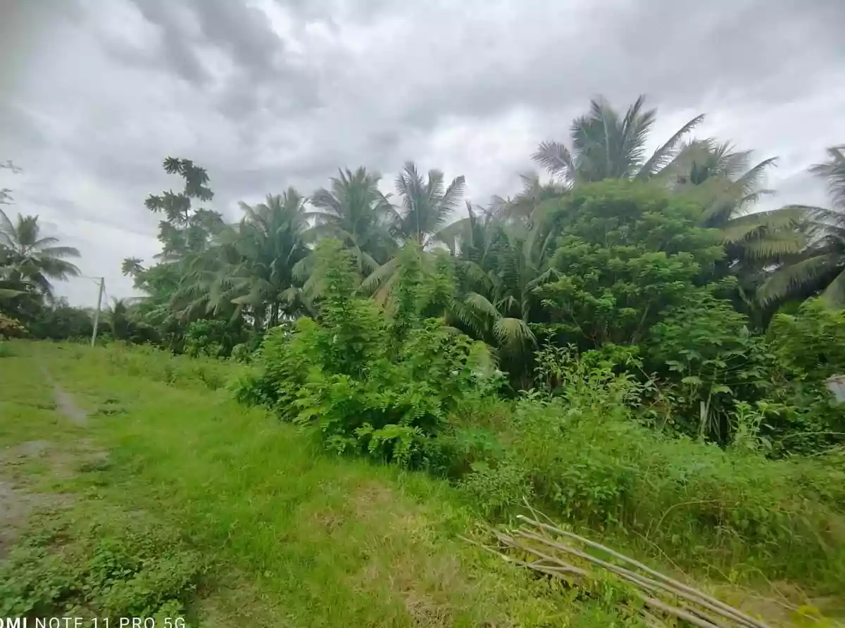 For Sale: Residential Lot in Ligaya, General Santos City — 488 sqm — Residential Lot in General Santos City, South Cotabato, 9500 — Photo 4