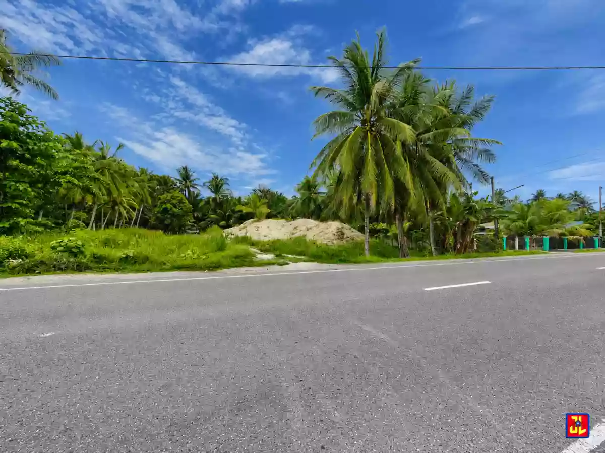 For Sale: 2,644sqm Lot along National Highway Jilocon, San Jose, Negros Oriental [available] — Commercial Lot in San Jose, Negros Oriental, 6202 — Photo 5