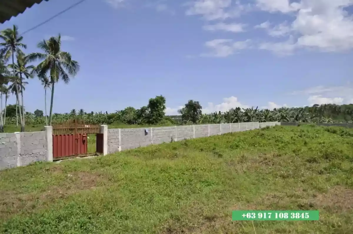 Open photo 12 of 12 — 2,000 SQM Prime Industrial Lot for Sale Malagamot Road, Indangan, Buhangin District, Davao City