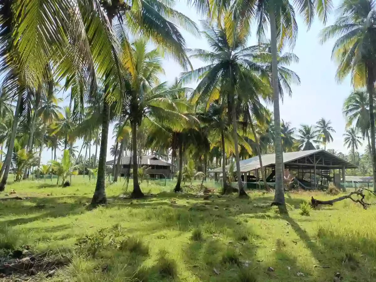 Open photo 16 of 18 — For Sale: Beach Lot in Aramaywan, Quezon, Palawan — 29955 sqm