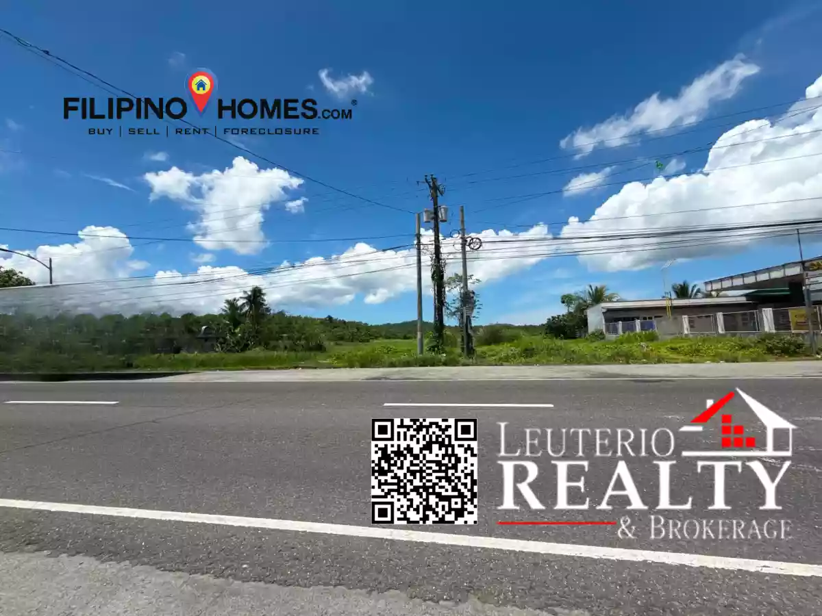 For Sale: Commercial Lot in Poblacion, Pamplona — 90000 sqm — Commercial Lot in Pamplona, Camarines Sur, 4416 — Photo 3