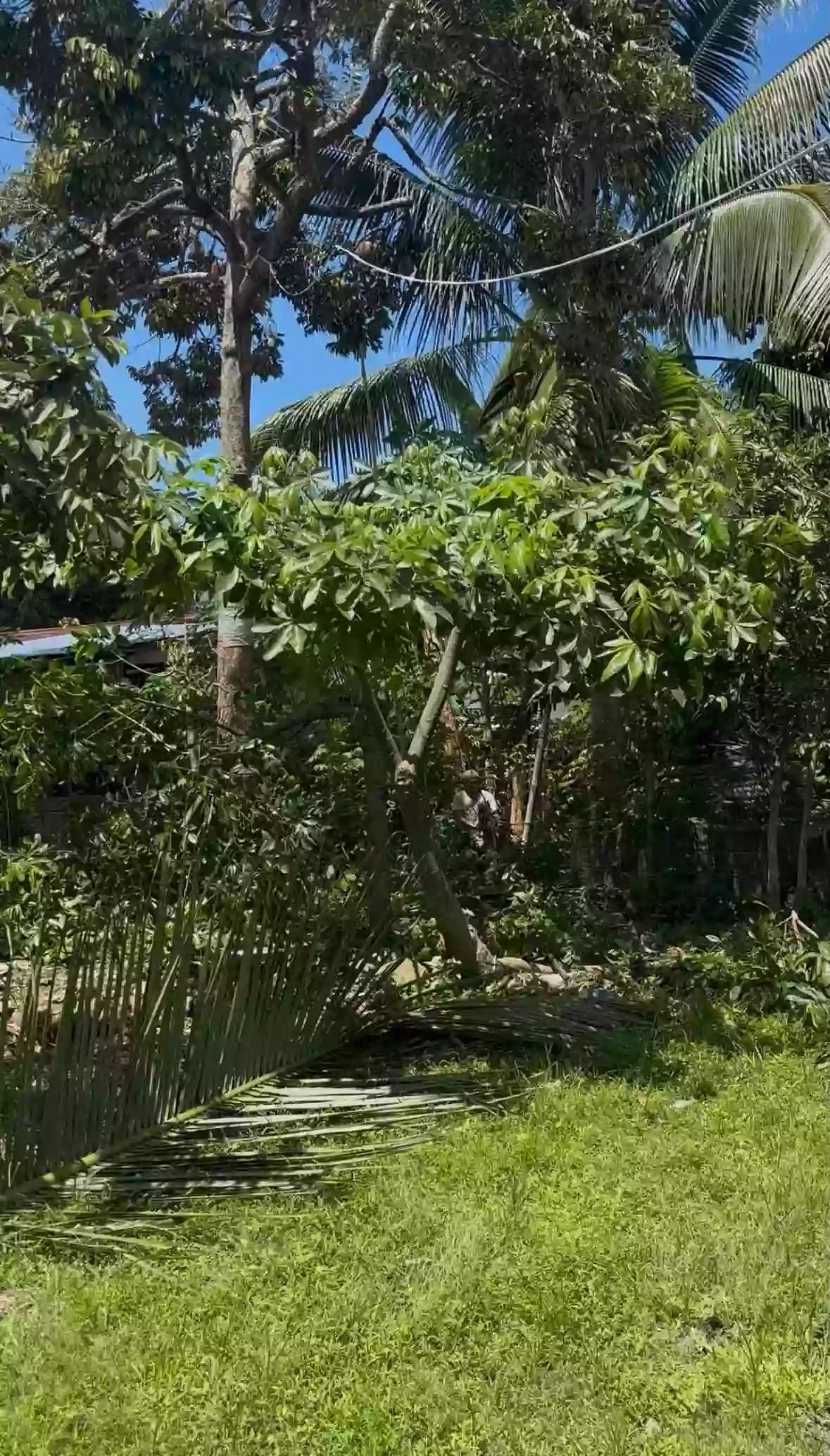 For Sale: Residential Lot in Mintal, Davao City — 800 sqm