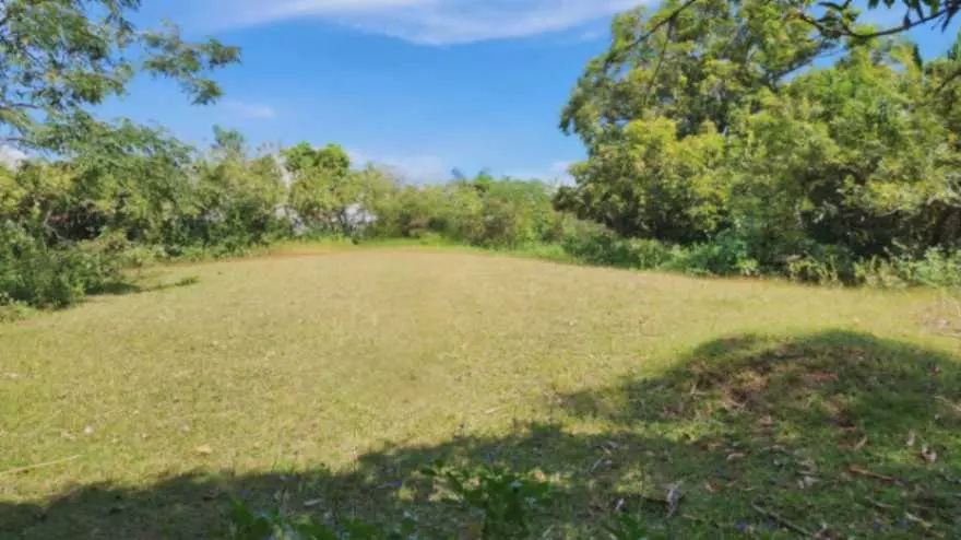 For Sale: 2-Hectare Ocean-View Property – Ideal Investment