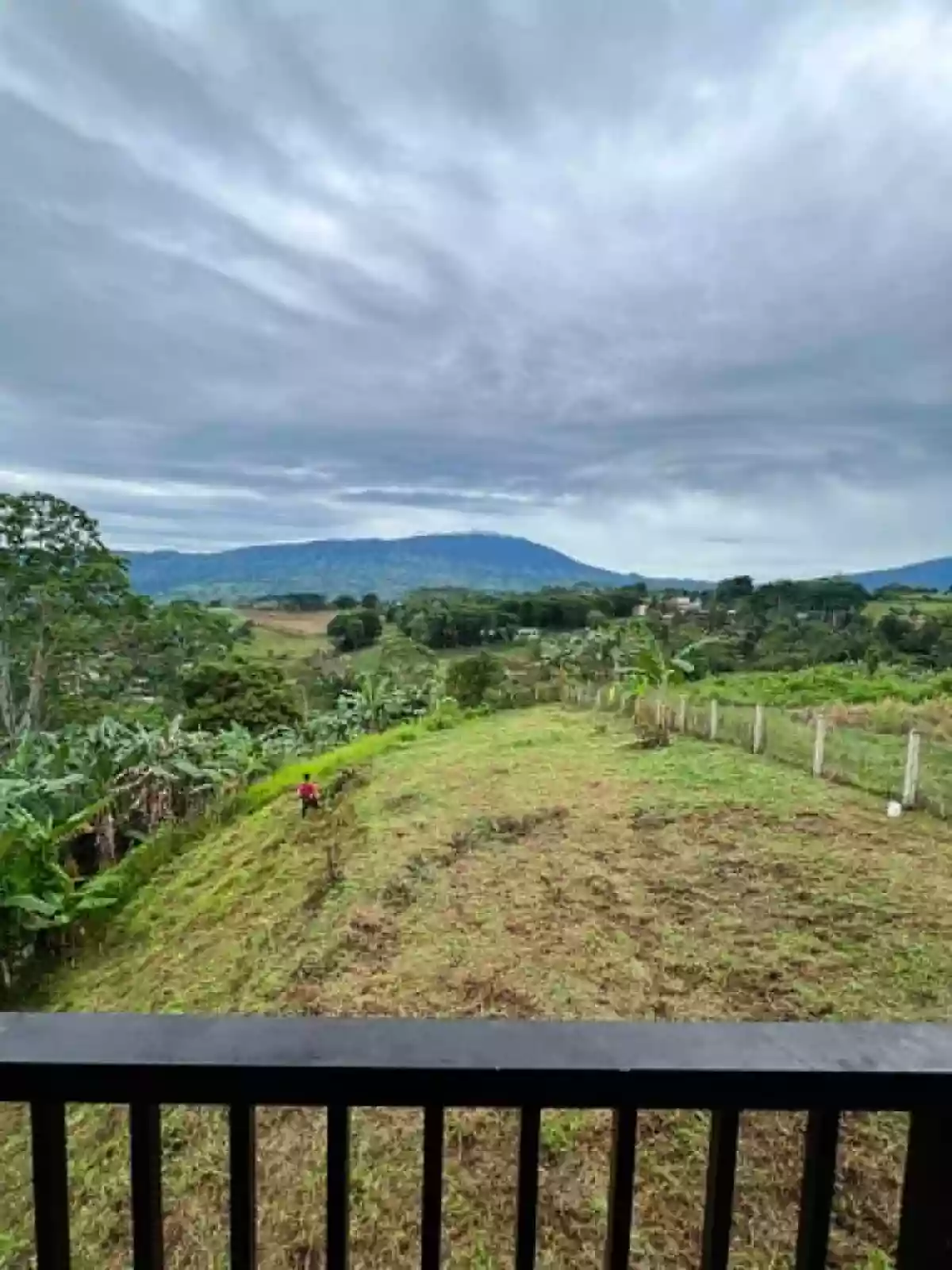 🏡 Massive 1,438 SQM Lot with 2-Storey House for Sale in Claveria!