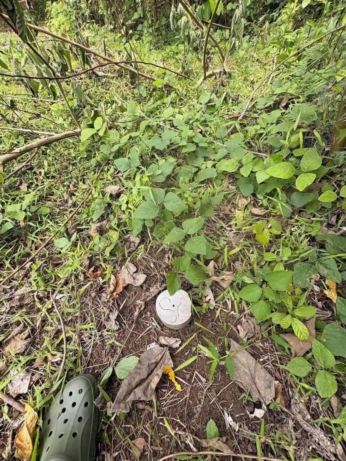 For Sale: Residential Lot Near Butuan City — 118 sqm in Sumilihon — Residential Lot in Butuan City, Agusan del Norte, 8600 — Photo 3