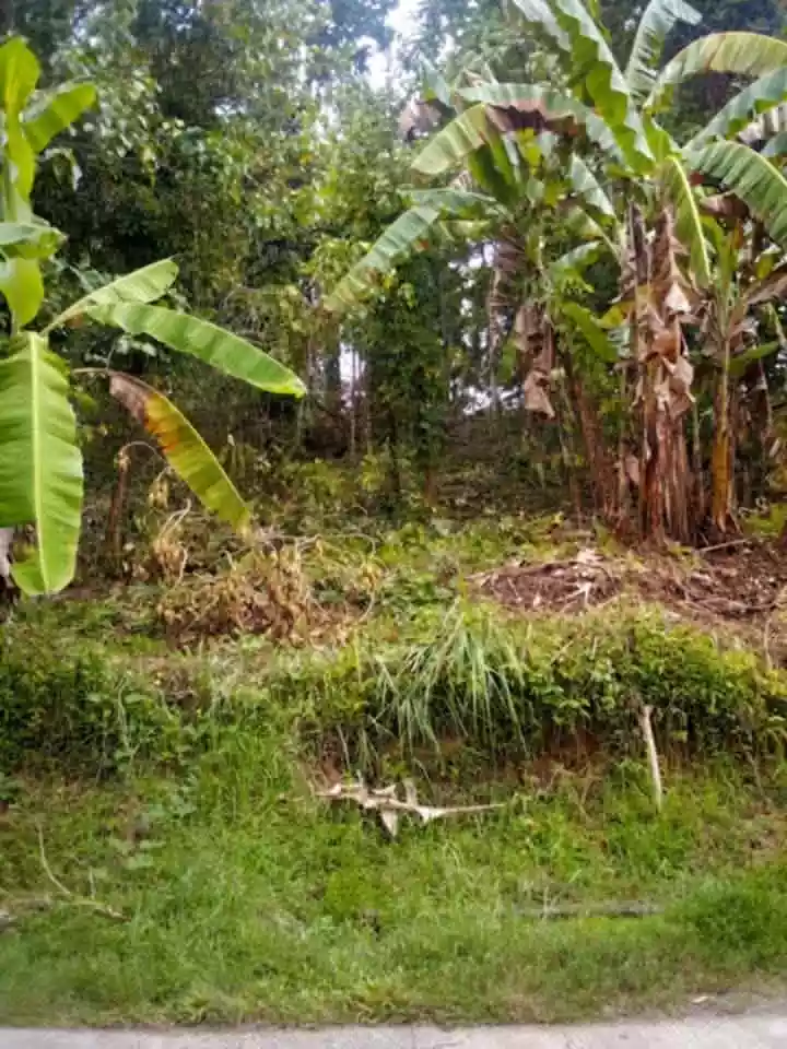 For Sale: 9426 sqm Residential Lot in Talairon, Oroquieta City — Land Banking — Residential Lot in Talairon, Oroquieta City, Misamis Occidental — Photo 4