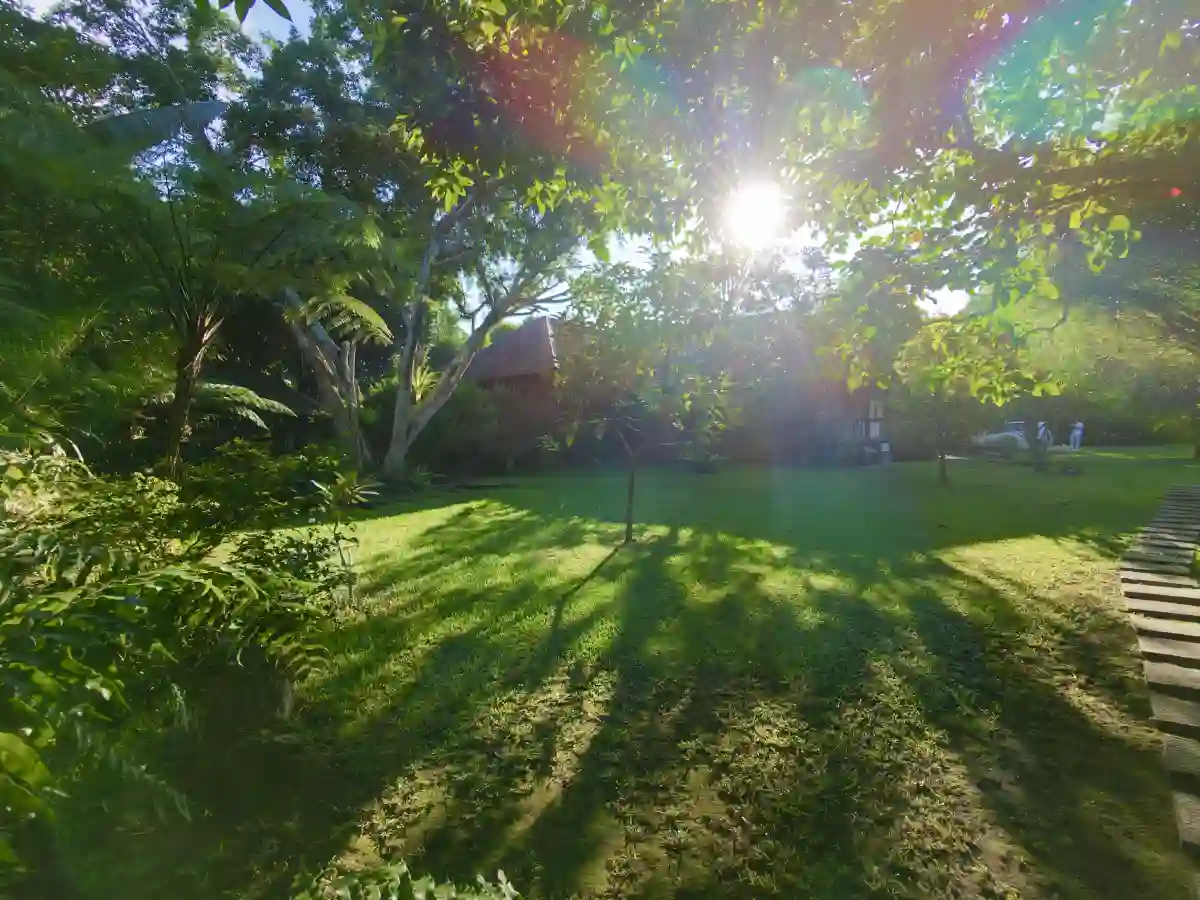 3,000 sqm Residential Lot for Sale with a garden, plenty of plants, and fruit-bearing trees.