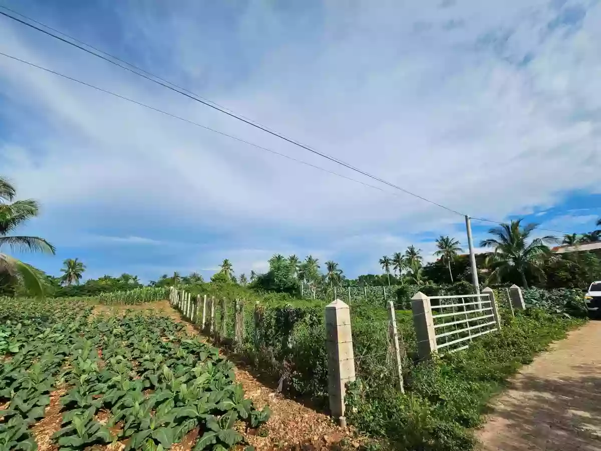 For Sale: Residential Lot in Sinai, Laguindingan — 500 sqm — Residential Lot in Laguidingan, Misamis Oriental, 9019 — Photo 4