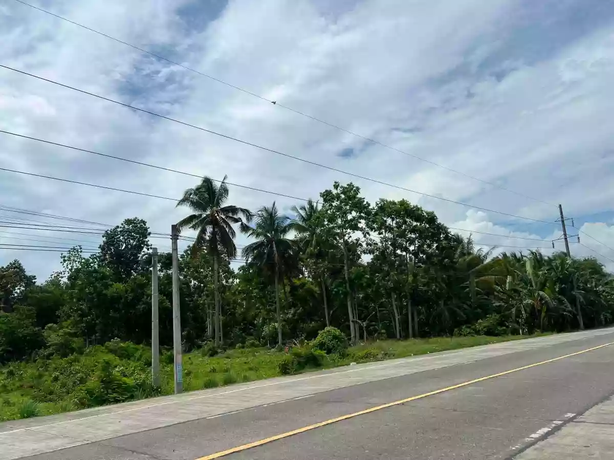 For Sale: Agricultural Lot in Soriano, Cabadbaran City — 3226 sqm — Agricultural Lot in Cabadbaran City, Agusan del Norte, 8605 — Photo 2