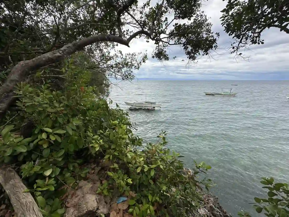 For Sale: 5996 sqm Cliff Beach Lot in Bingag, Dauis — Investment — Beach Lot in Dauis, Bohol, 6339 — Photo 2
