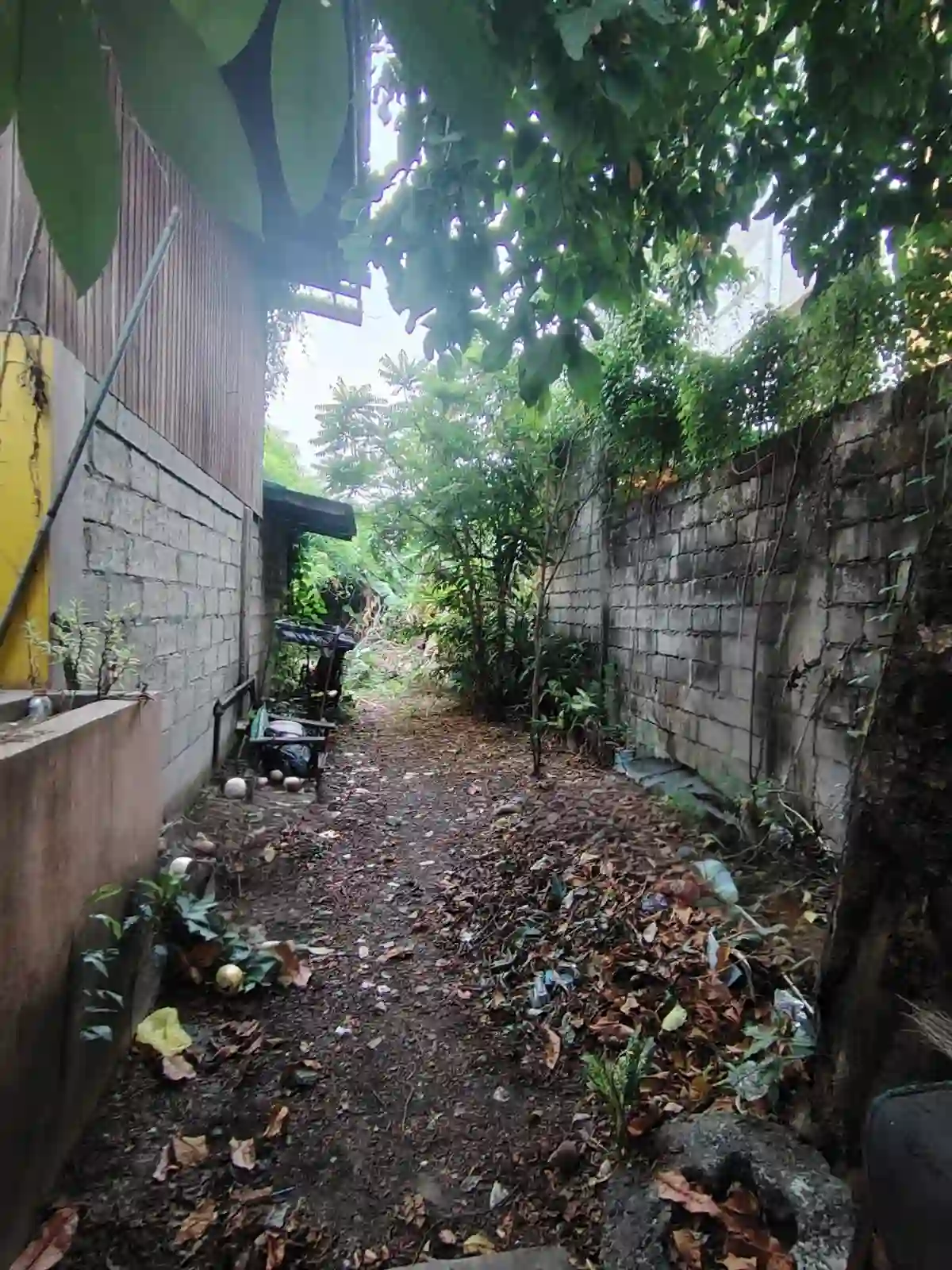 Rush Sale: 2BR House and Lot with 2 Commercial Units in Bintog, Plaridel — House and Lot in Bintog, Plaridel, Bulacan — Photo 6