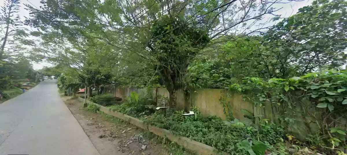 For Sale: Agricultural Lot with 32 meters Frontage in Ulat, Silang — Agricultural Lot in Silang, Cavite, 4118 — Photo 5
