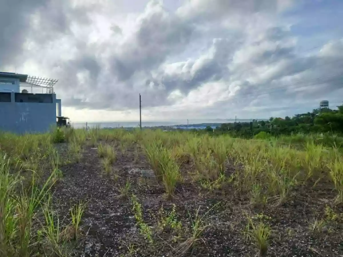 For Sale: Residential Lot in Cogon, Compostela — 191 sqm (corner lot) — Residential Lot in Compostela, Cebu, 6003 — Photo 7