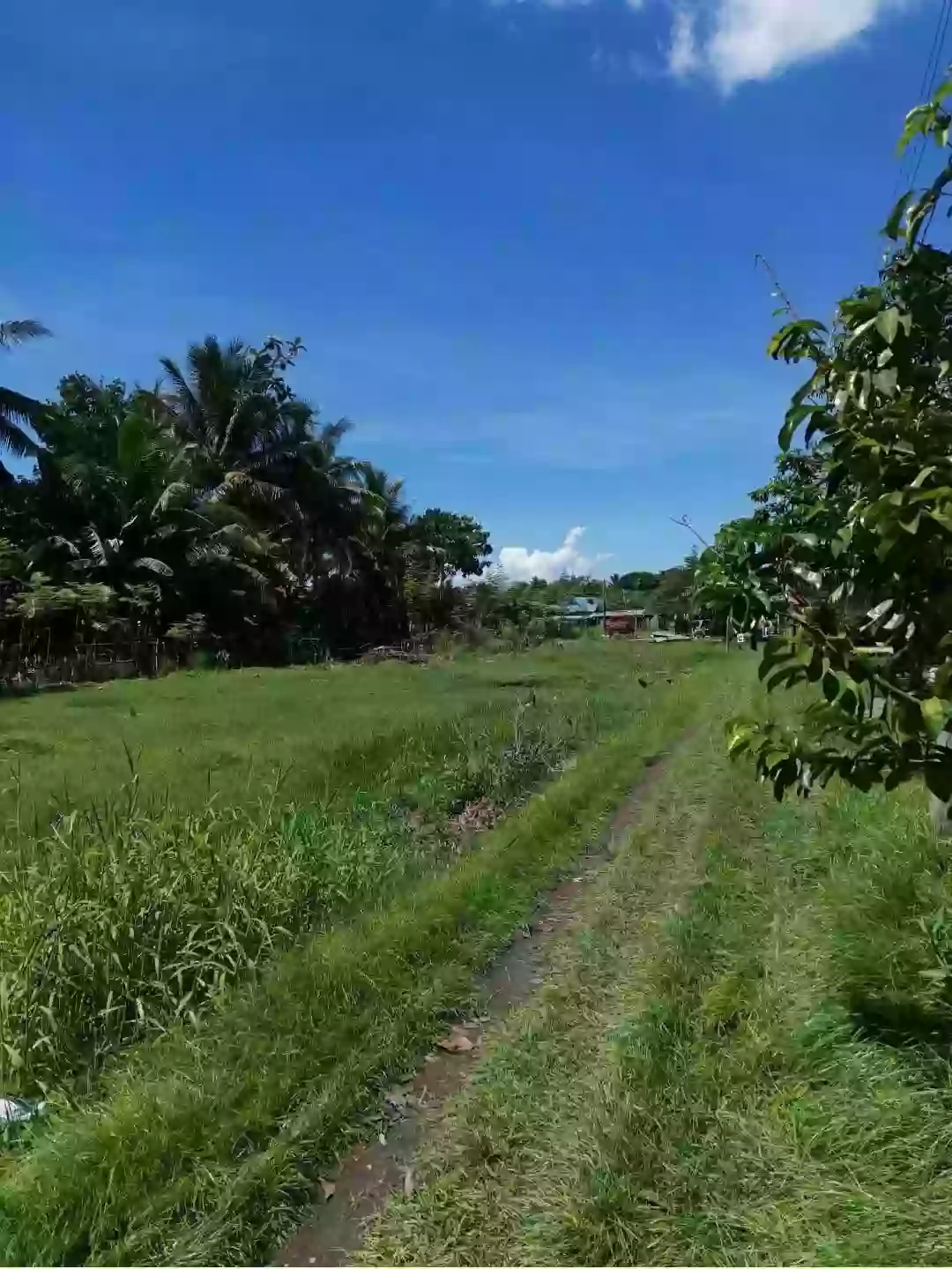 LOT FOR LEASE NEAR EMJAKE AND CAMELLA CERRITOS — Residential Lot in Lagao (1st & 3rd), Gen. Santos City, South Cotabato — Photo 5