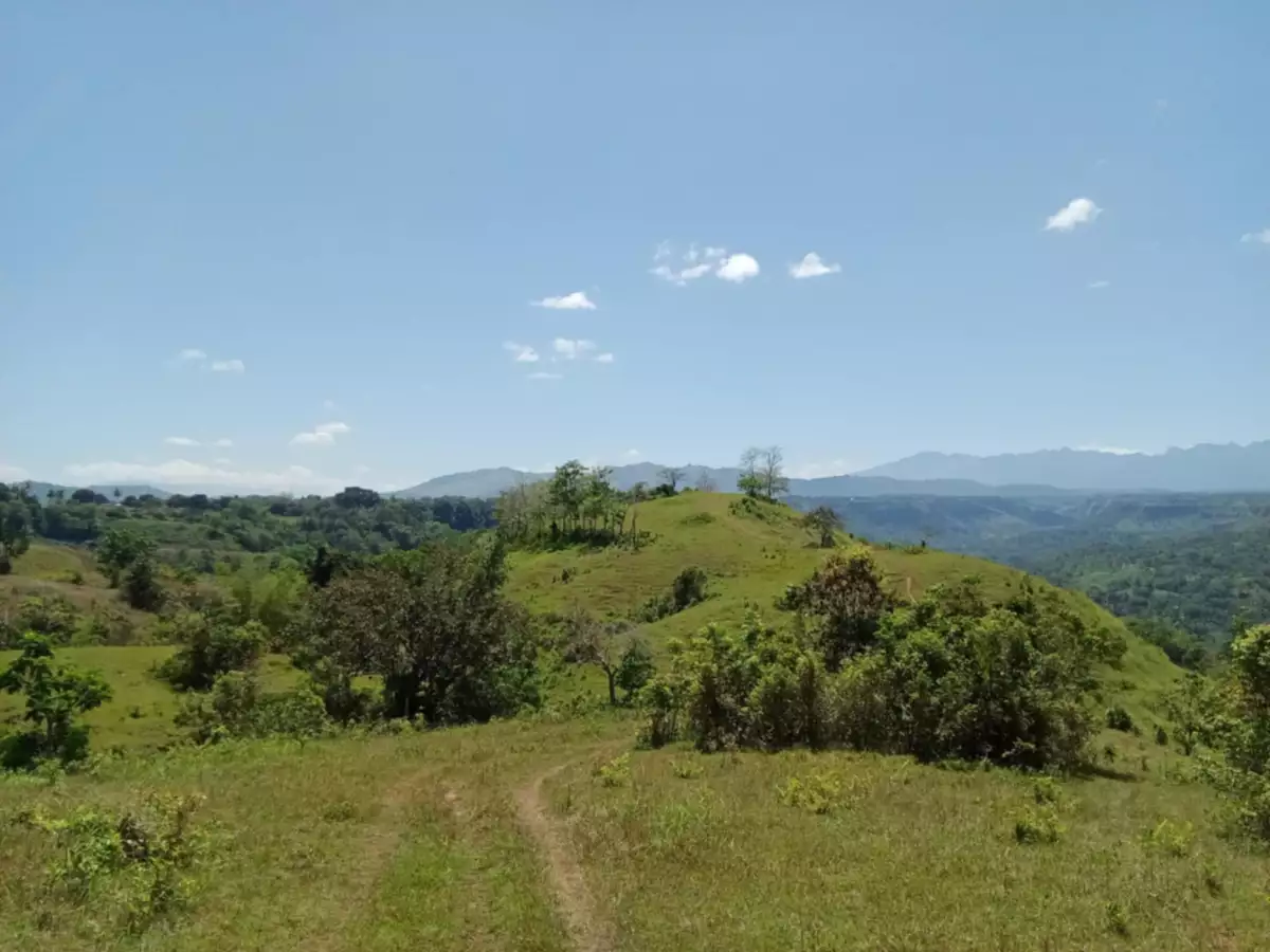 Agricultural Land For Sale!! — Agricultural Lot in Libuna, Bukidnon, 8706 — Photo 5