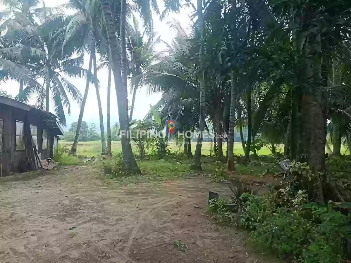 For Sale: Agricultural Lot in Sinawingan, Libungan — 15460 sqm — Agricultural Lot in Libungan, Cotabato, 9411 — Photo 6