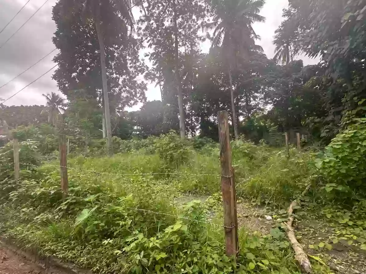 For Sale: Residential Lot in Shrine Hills, Matina Davao City — 400 sqm