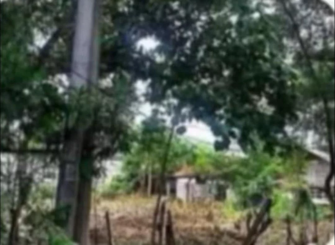For Sale: Residential Lot in San Isidro, General Santos City — 300 sqm — Residential Lot in San Isidro (Lagao 2nd), General Santos City, South Cotabato — Photo 3