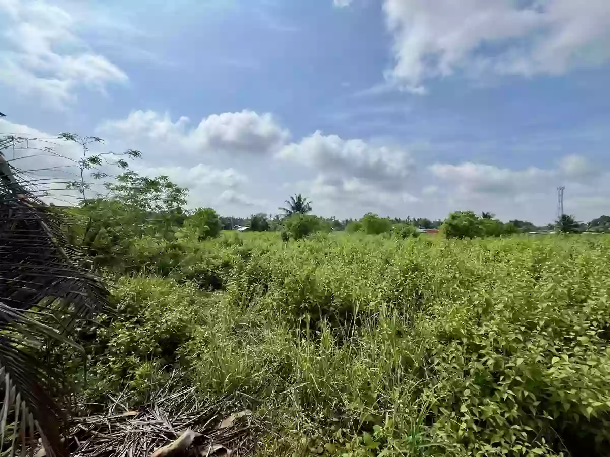 For Sale: Residential Lot in Silway 8, Polomolok — 3830 sqm — Residential Lot in Polomolok, South Cotabato, 9504 — Photo 5