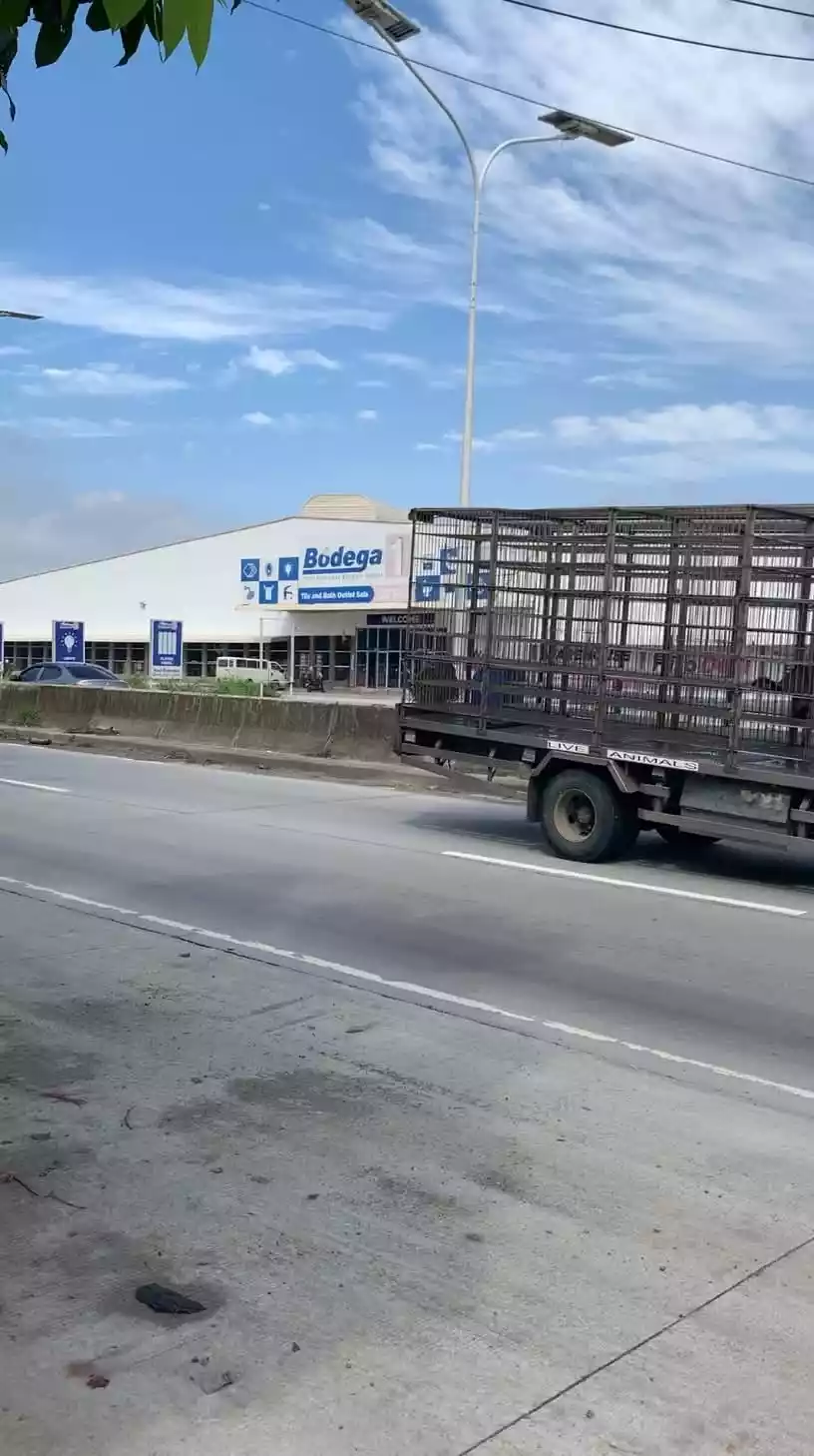 3.9 hectares Commercial Lot Available For Sale in Bypass Road Plaridel, Bulacan — Commercial Lot in Plaridel, Bulacan, 3004 — Photo 6