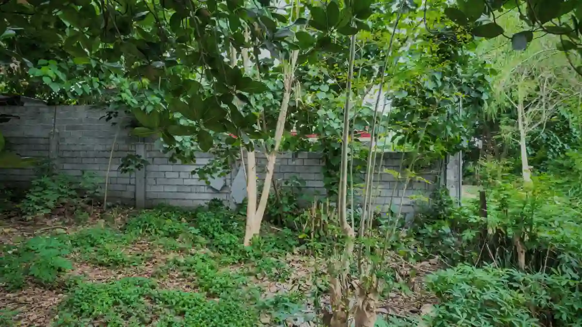 AB lot — Residential Lot in General Santos City, South Cotabato, 9500 — Photo 2