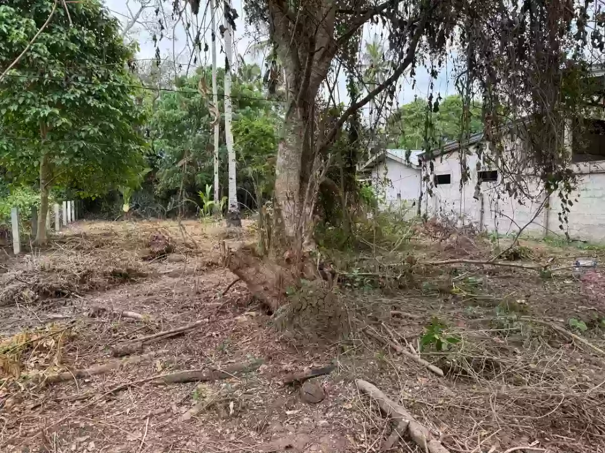 For Sale: Agricultural Lot in Poblacion, Naawan — 1299 sqm — Agricultural Lot in Poblacion, Naawan, Misamis Oriental — Photo 7