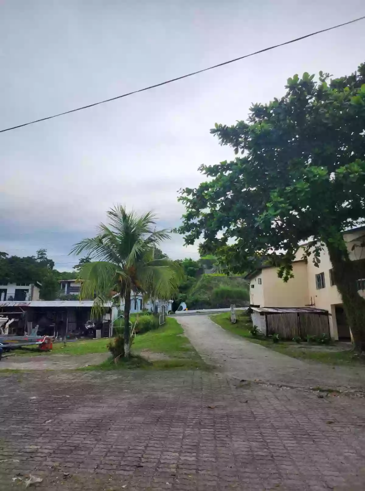 For Sale: Beach Lot in Lipata, Surigao City — 4027 sqm — Beach Lot in Surigao City, Surigao del Norte, 8400 — Photo 6