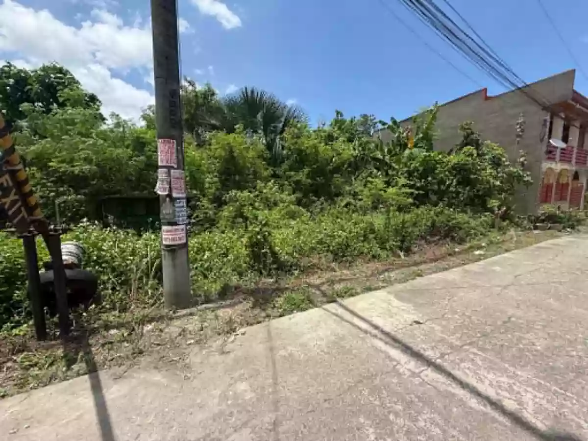 For Sale: Residential Lot in Leofeville Subdivision, Liloan — 100 sqm — Residential Lot in Liloan, Cebu, 6002 — Photo 3