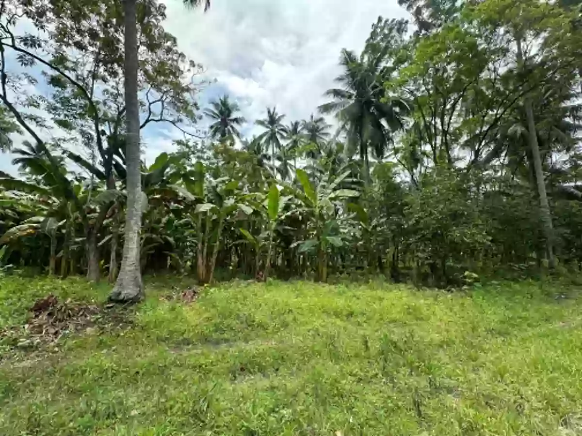 Agricultural Lot for Sale Near Brgy. San Isidro Day Care Center, Tampacan — 36,067 sqm — Agricultural Lot in San Isidro, Tampacan, South Cotabato — Photo 4