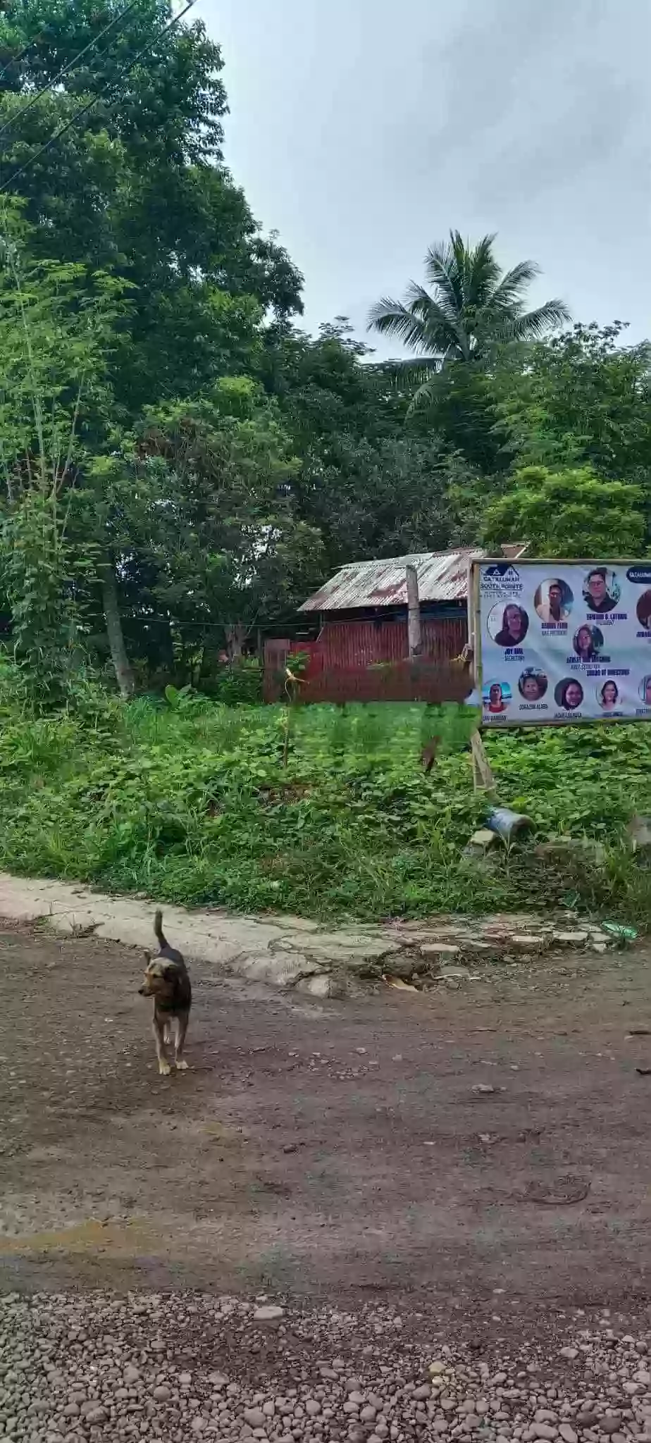 For Sale: Residential Lot in Catalunan Grande, Davao City — 163 sqm — Residential Lot in Davao City, Davao del Sur, 8000 — Photo 5