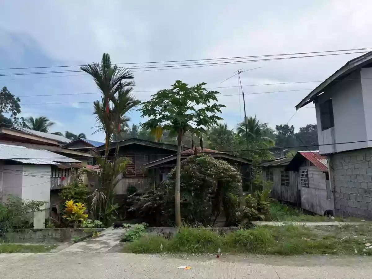 Rush Sale: 318 sqm Residential Lot in Poblacion, Bayugan near BNCHS — Residential Lot in Poblacion, Bayugan City, Agusan del Sur — Photo 5