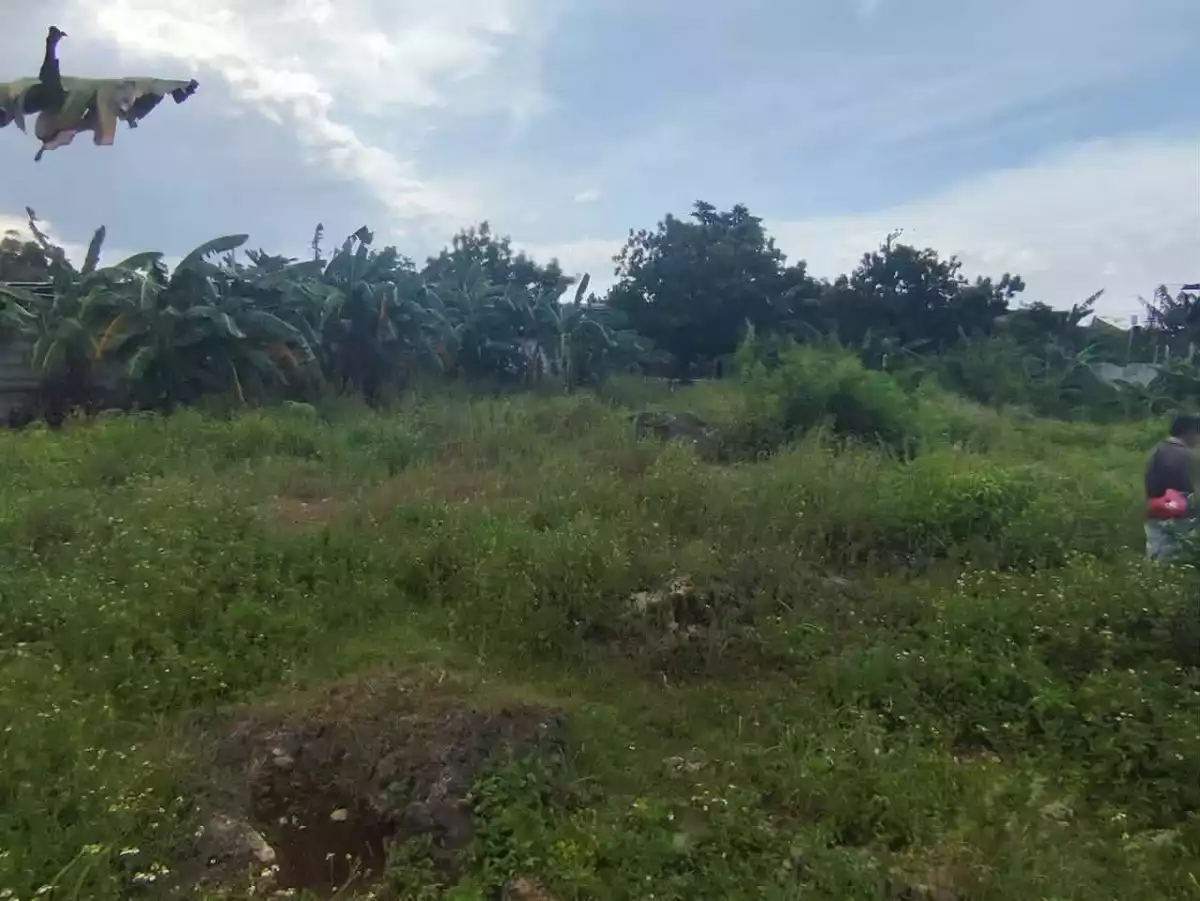 Lot for Sale near CCLEX Access Road — Residential Lot in Ibabao, Cordova, Cebu — Photo 2